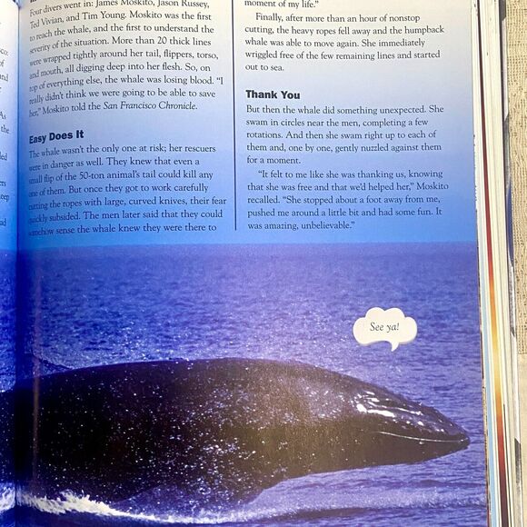 Uncle Johns Weird Weird World Who What Where When and Wow Bathroom Reader - Picture 6 of 10